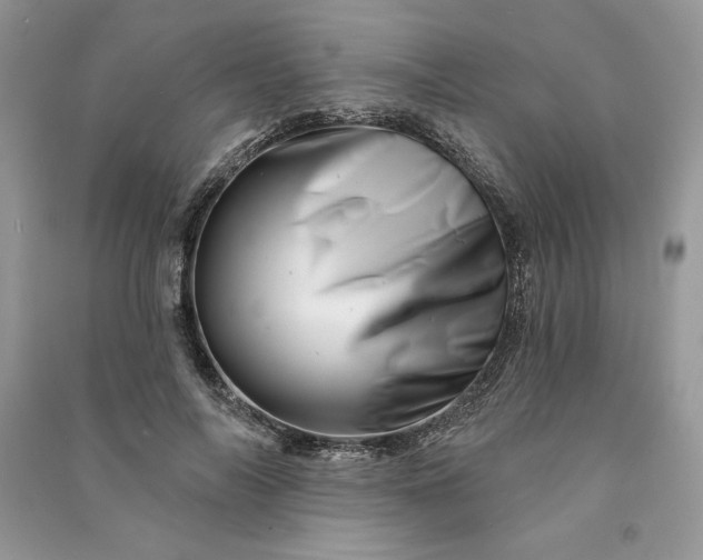 X0000090870694200708101334