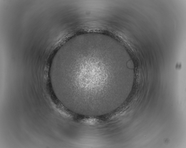 X0000090870695200708101334