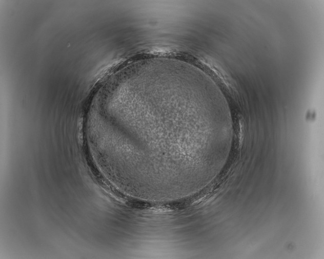 X0000090870696200708101334