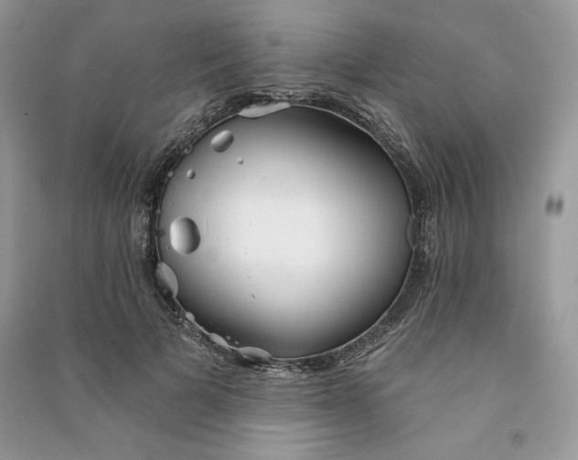 X0000090870697200708101334