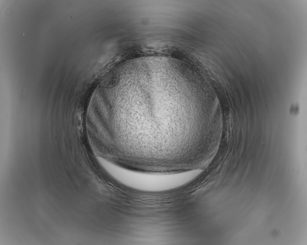 X0000090870699200708101334