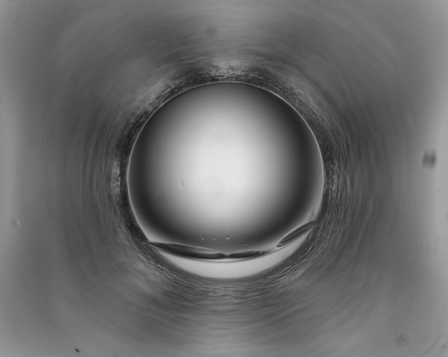 X0000090870700200708101334