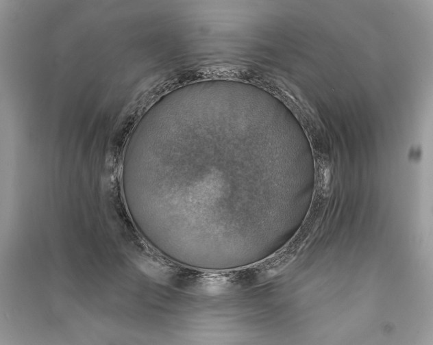 X0000090870701200708101334