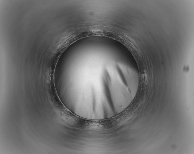 X0000090870702200708101334