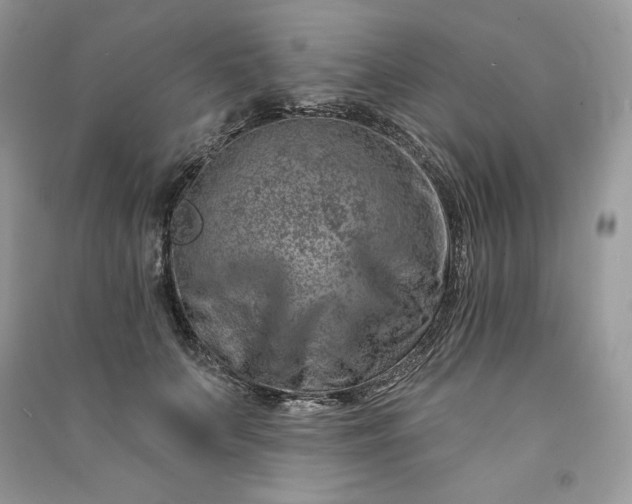 X0000090870703200708101334