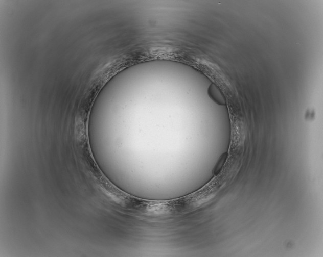 X0000090870705200708101334