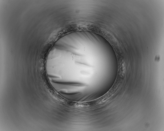 X0000090870706200708101334