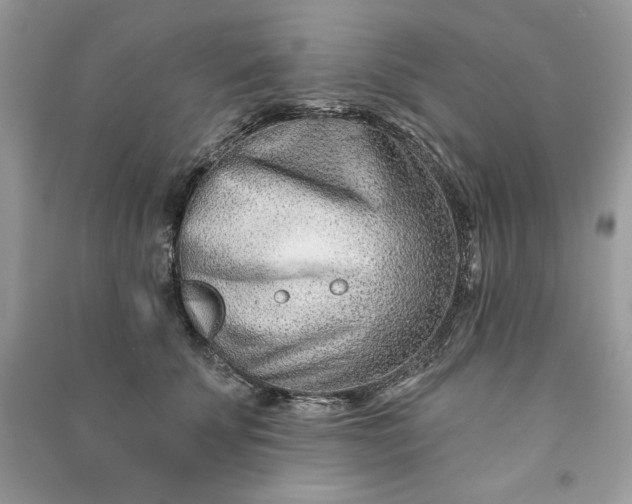 X0000090870707200708101334