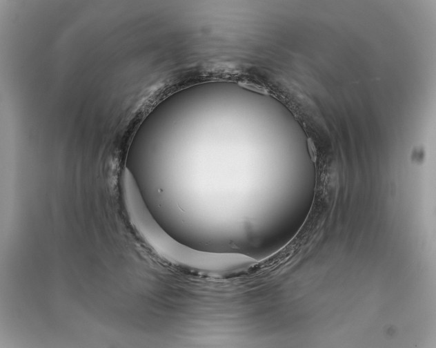 X0000090870708200708101334