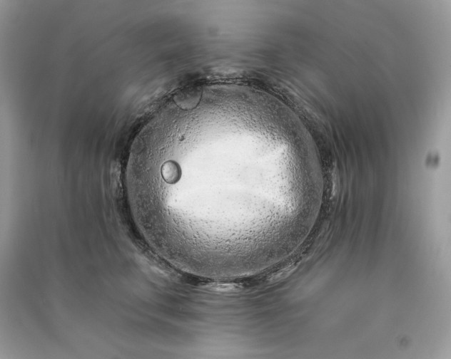 X0000090870711200708101334