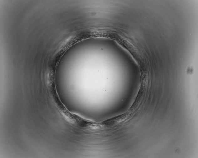 X0000090870712200708101334