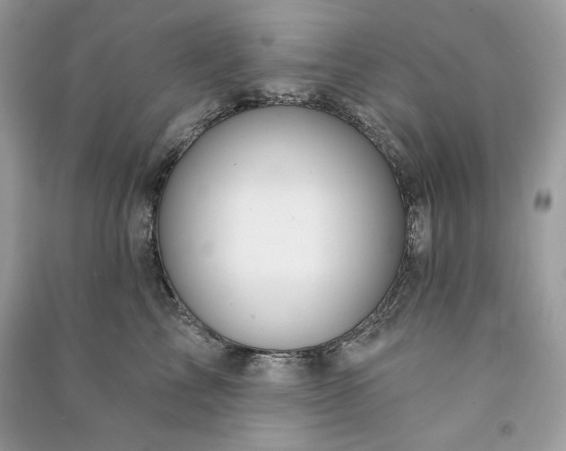 X0000090870713200708101334