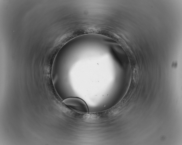 X0000090870714200708101334