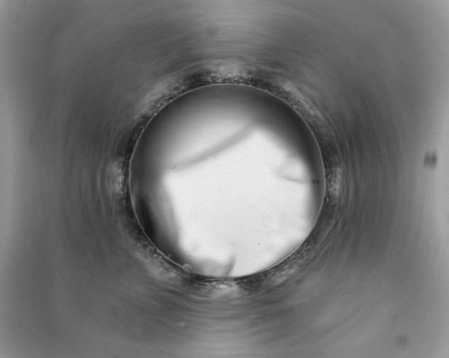 X0000090870715200708101334