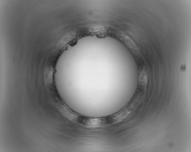 X0000090870717200708101334