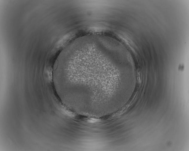 X0000090870718200708101334