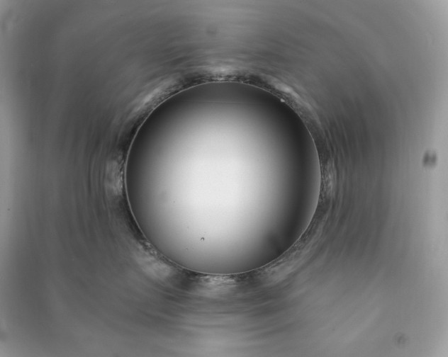 X0000090870719200708101334