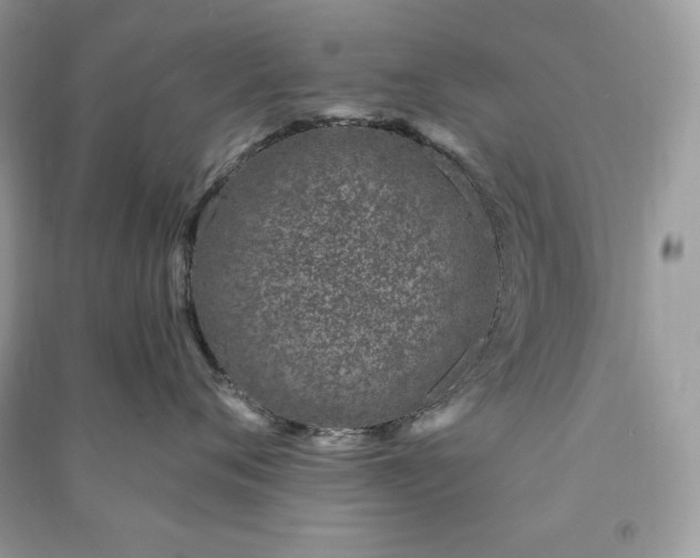 X0000090870720200708101334