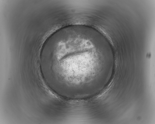 X0000090870721200708101333