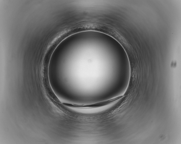 X0000090870722200708101333