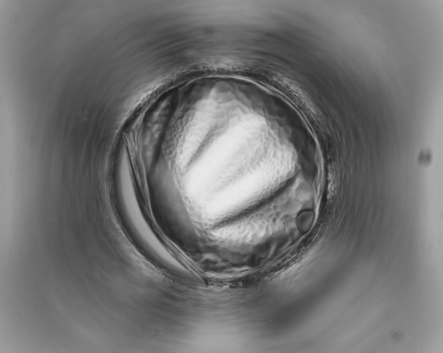 X0000090870725200708101333