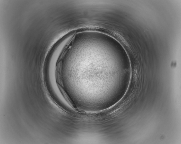 X0000090870726200708101333