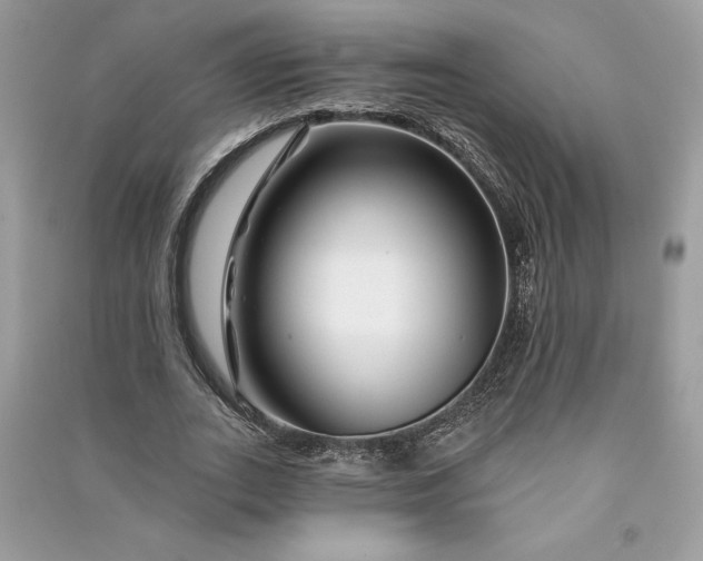 X0000090870727200708101333