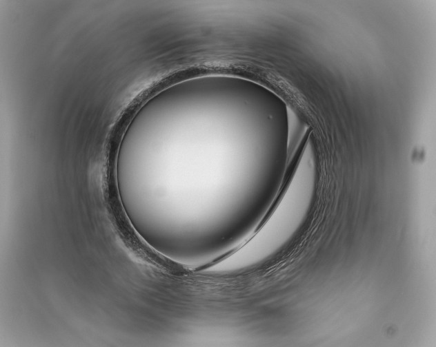 X0000090870728200708101333