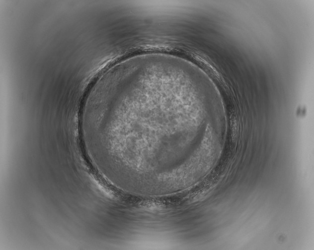 X0000090870729200708101333