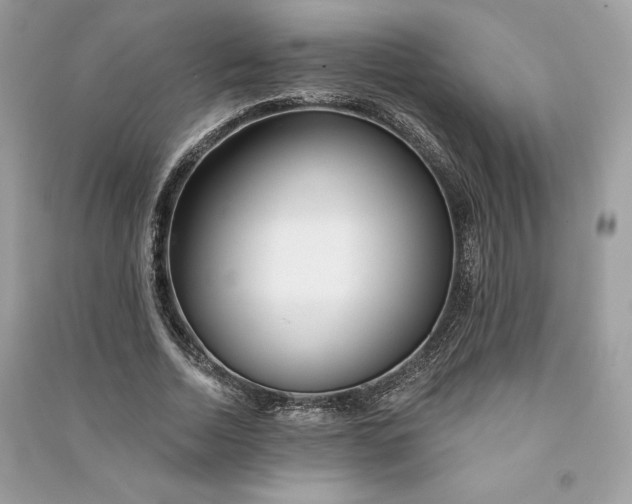 X0000090870730200708101333