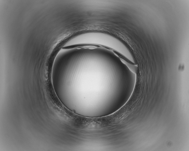 X0000090870731200708101333