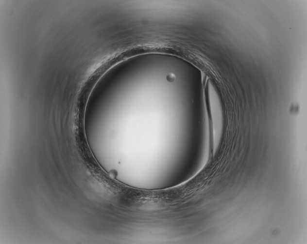 X0000090870732200708101333