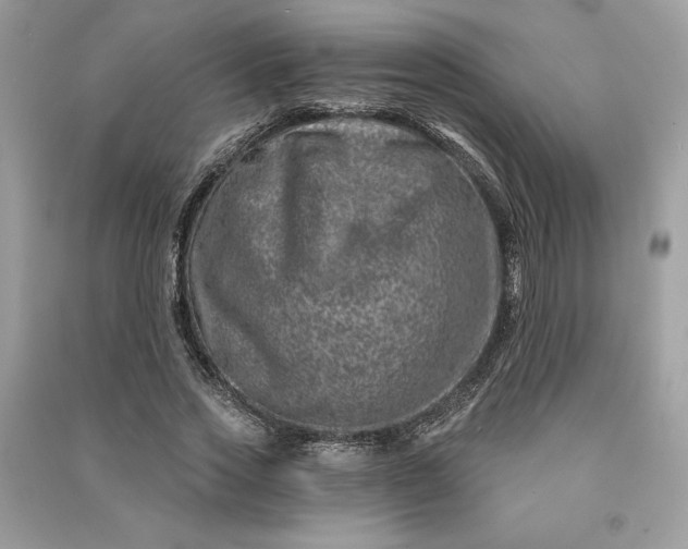 X0000090870733200708101333