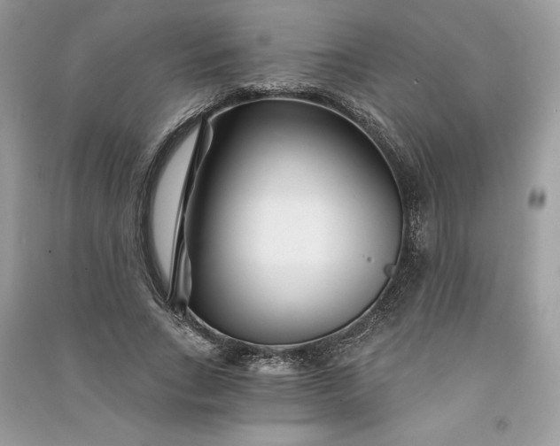 X0000090870735200708101333