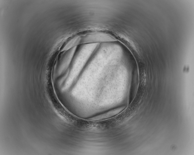 X0000090870736200708101333