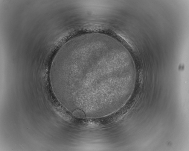 X0000090870737200708101333