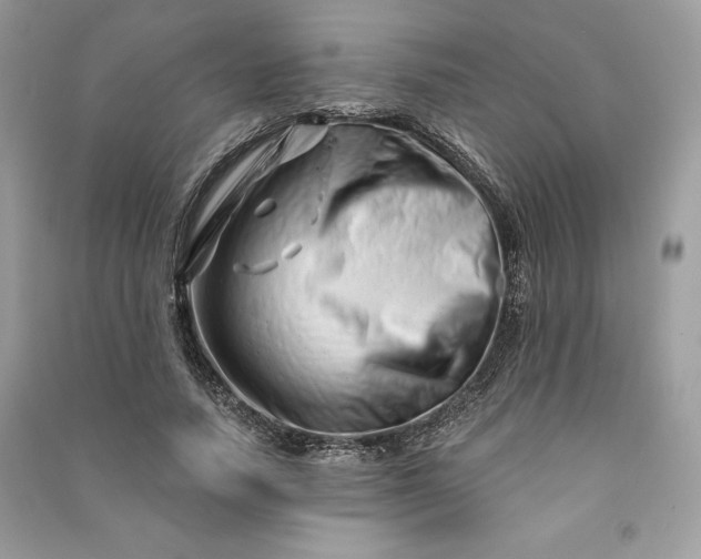 X0000090870738200708101333