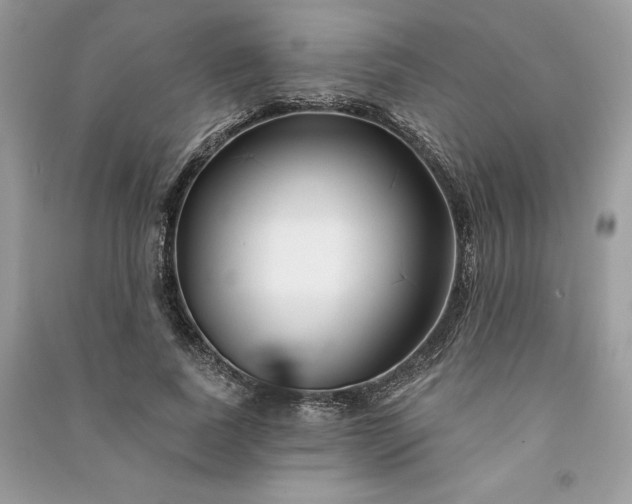 X0000090870739200708101333