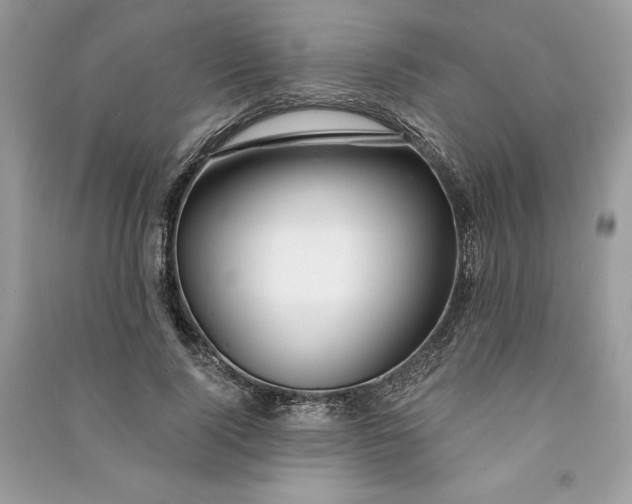 X0000090870740200708101333