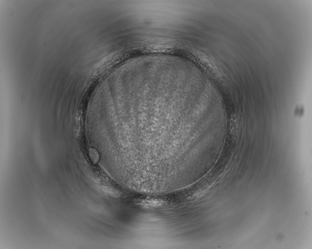 X0000090870741200708101333