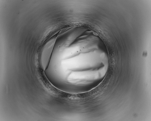 X0000090870742200708101333