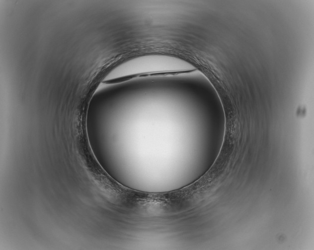 X0000090870743200708101333