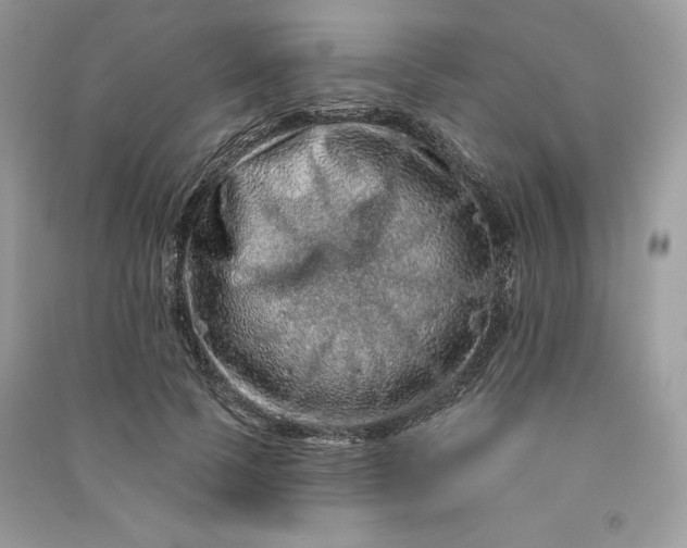 X0000090870745200708101333