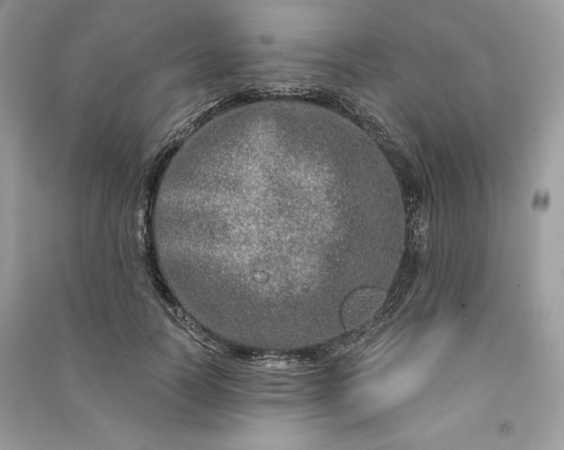 X0000090870746200708101333