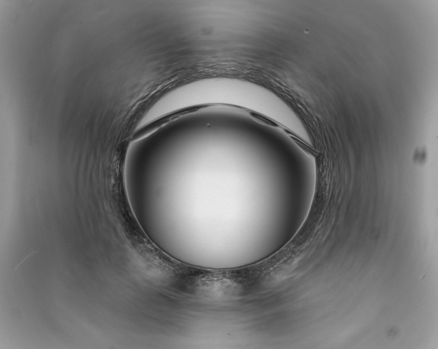 X0000090870747200708101333