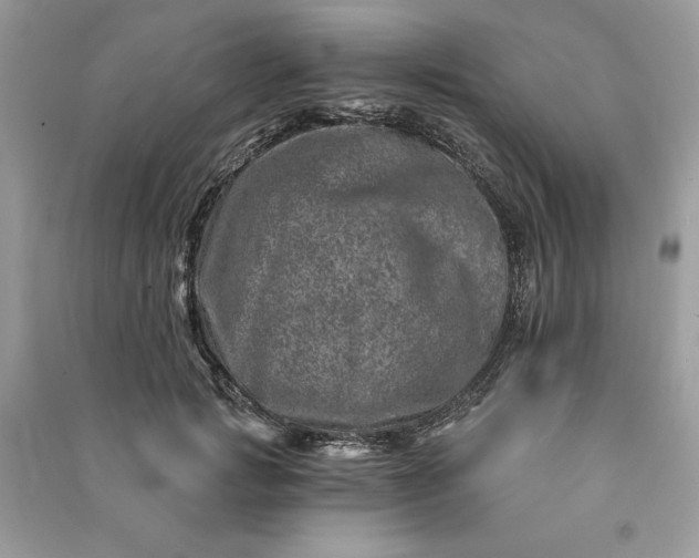 X0000090870749200708101333