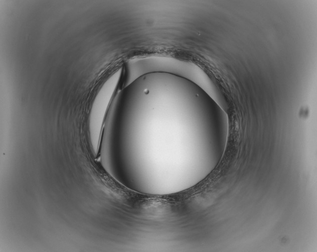 X0000090870750200708101333