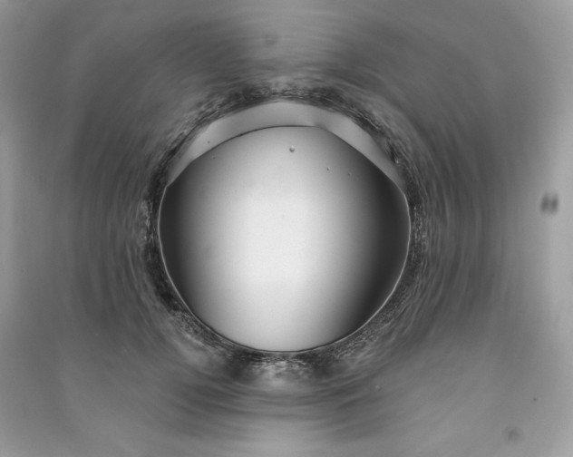 X0000090870752200708101333