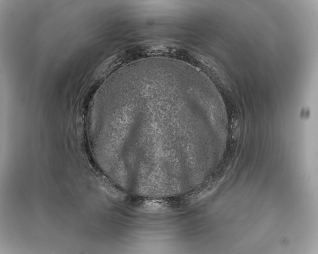 X0000090870753200708101333