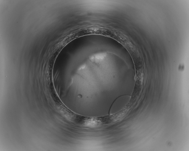 X0000090870754200708101333